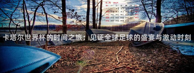 世界杯比赛时间：卡塔尔世界杯的时间之旅：见证全球足球的盛宴与激动时刻
