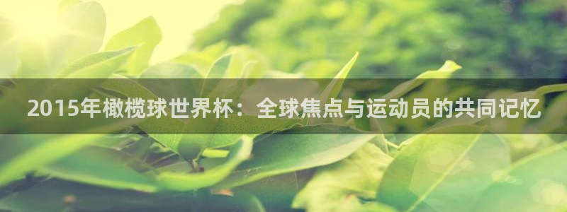 2026葡萄牙杯赛程表：2015年橄榄球世界杯：全球焦点与运动员的共同记忆