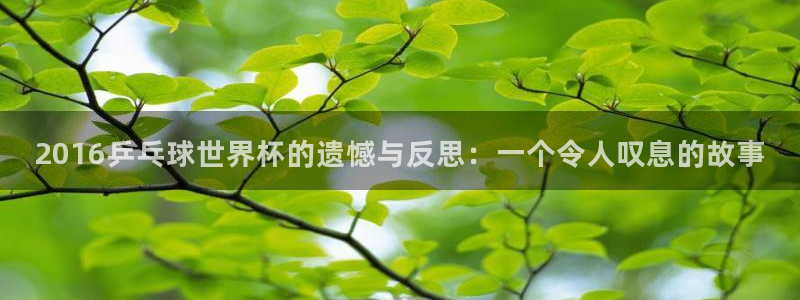2026世界杯直播：2016乒乓球世界杯的遗憾与反思：一个令人叹息的故事