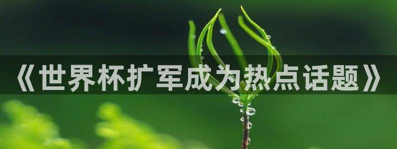 世界杯预选赛欧洲区赛程：《世界杯扩军成为热点话题》