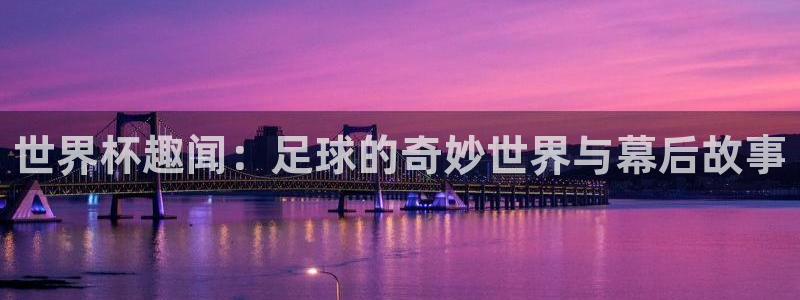 世界杯第一场比赛：世界杯趣闻：足球的奇妙世界与幕后故事