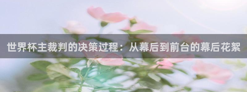 2026年世界杯：世界杯主裁判的决策过程：从幕后到前台的幕后花絮