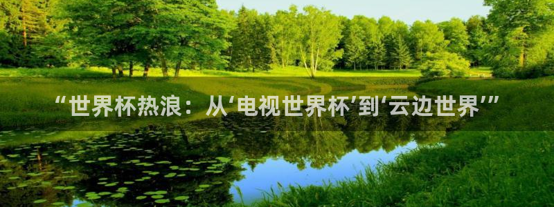 世界杯葡萄牙赛程：“世界杯热浪：从‘电视世界杯’到‘云边世界’”