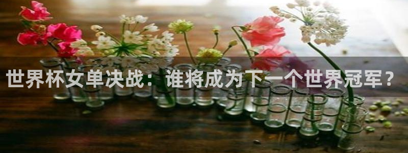 世界杯2026赛程时间表格：世界杯女单决战：谁将成为下一个世界冠军？