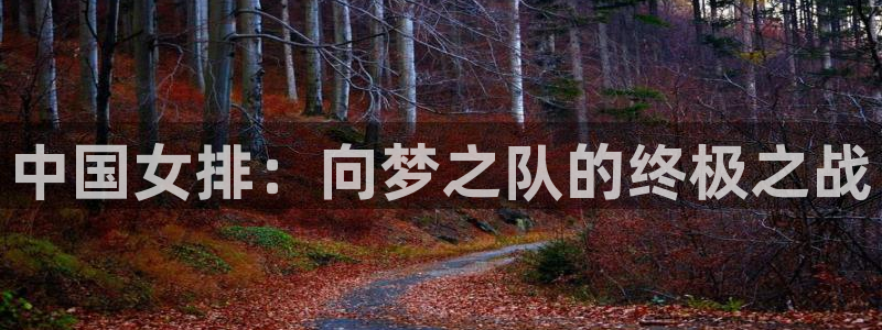 免费足球比赛直播高清：中国女排：向梦之队的终极之战