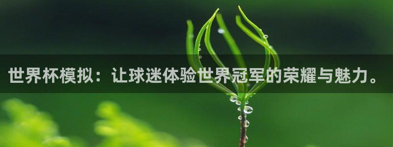 欧洲世界杯预选赛赛程：世界杯模拟：让球迷体验世界冠军的荣耀与魅力。