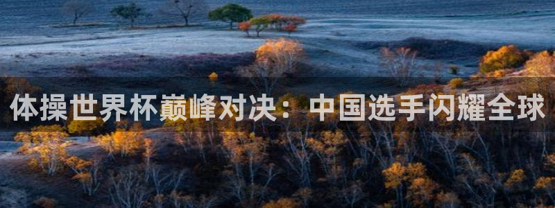 2026足球世界杯赛程：体操世界杯巅峰对决：中国选手闪耀全球