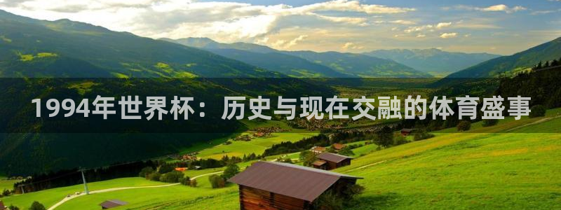 美国世界杯：1994年世界杯：历史与现在交融的体育盛事