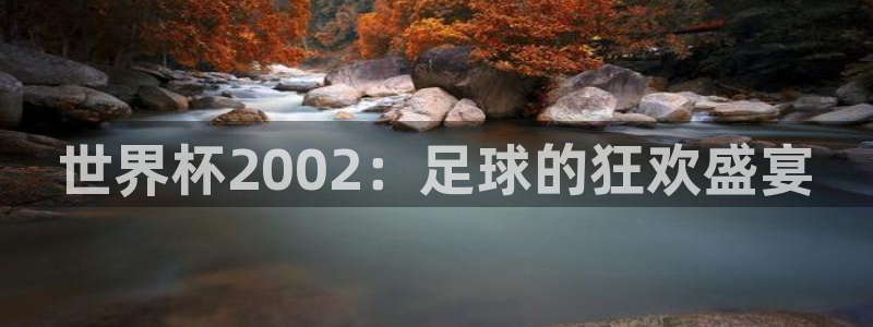 世界杯官网：世界杯2002：足球的狂欢盛宴