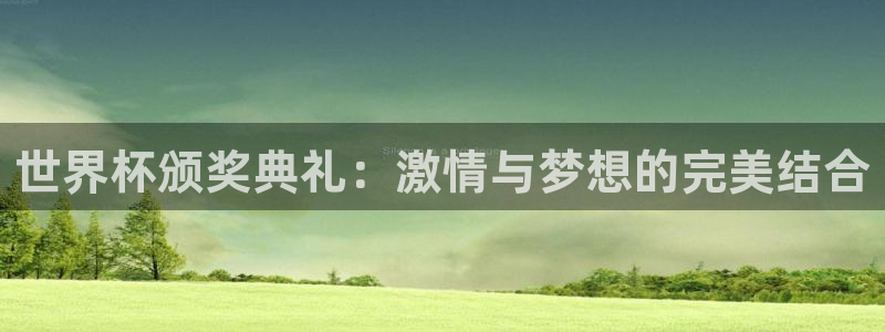 世界杯决赛圈球队：世界杯颁奖典礼：激情与梦想的完美结合