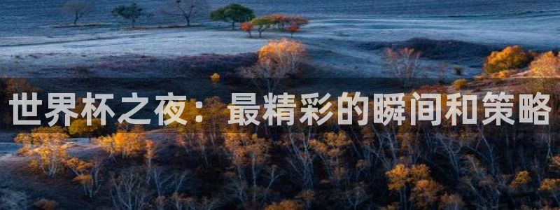2026世界杯足球赛程时间表：世界杯之夜：最精彩的瞬间和策略