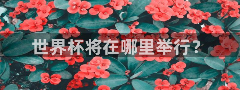 世界杯足球比赛：世界杯将在哪里举行？