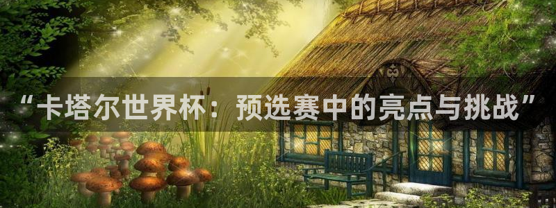 世界杯葡萄牙赛程：“卡塔尔世界杯：预选赛中的亮点与挑战”